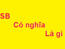 Sb là gì? SB trung quốc – Sb china là gì?