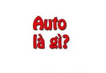 Auto là gì?