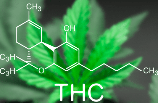 thc là phí gì?