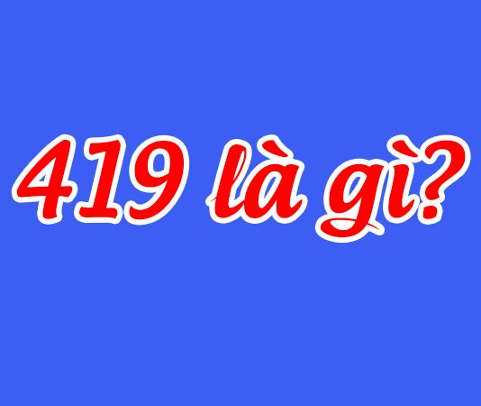 419 là gì? 1314 là gì ?