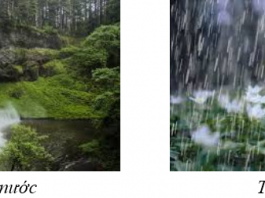 Nguồn âm là gì? Ví dụ? Nguồn âm là gì vật lý 7