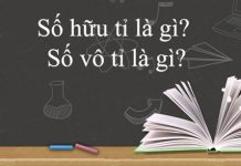 Số hữu tỉ? Số vô tỉ?