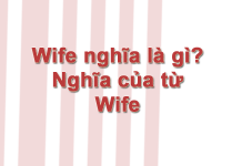 Wife nghĩa là gì? Nghĩa của từ Wife