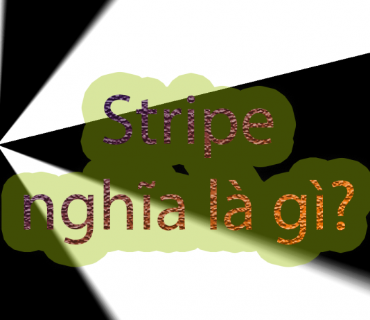 Stripe nghĩa là gì?