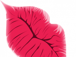 xoxo nghĩa là gì? Rượu xo là rượu gì?