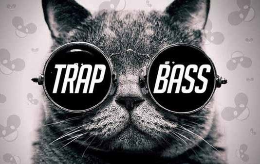 Trap là gì? Dấu hiệu nhận biết trap