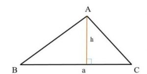 Công thức tính diện tích tam giác thường S = ½ x a x h 