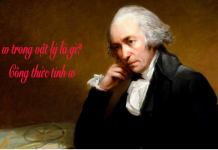 w trong vật lý là gì? Công thức tính w