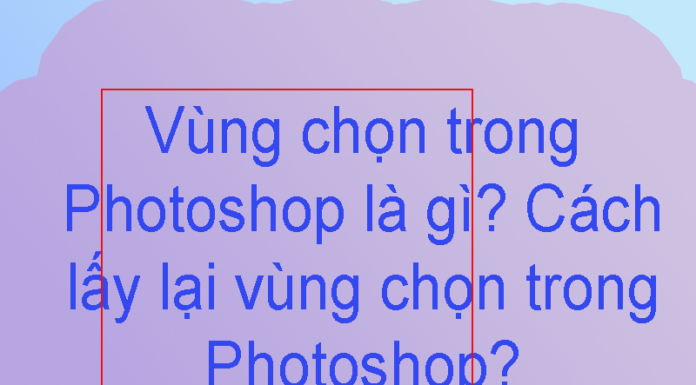 Vùng Chọn Là Gì