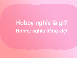 Hobby nghĩa là gì? Hobby nghĩa tiếng việt