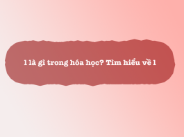l là gì trong hóa học? Tìm hiểu về l