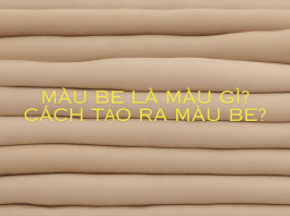 Màu be là màu gì? Cách tạo ra màu Be?