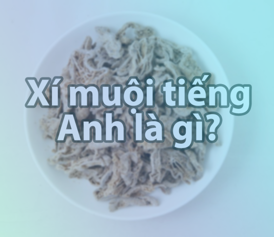 Xí muội tiếng Anh là gì?